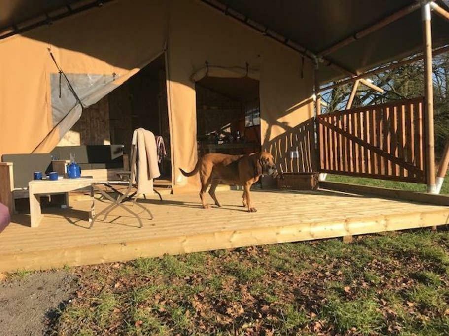 Lapwing Safari Tent Cheltenham Kültér fotó